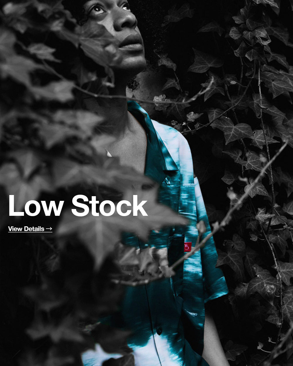 <FEATURE>LOW STOCK